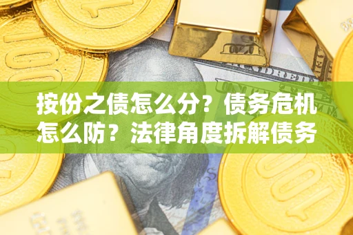 北京按份之债怎么分？债务危机怎么防？法律角度拆解债务分配与风险自保指南