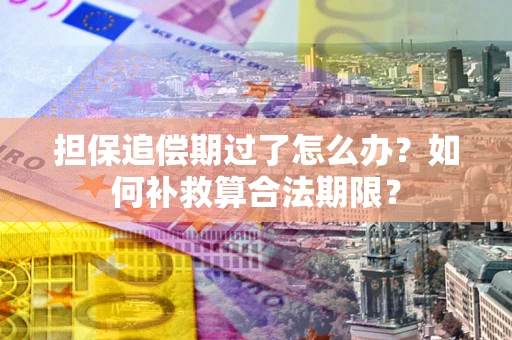 北京担保追偿期过了怎么办？如何补救算合法期限？