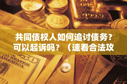 北京共同债权人如何追讨债务？可以起诉吗？（速看合法攻略）